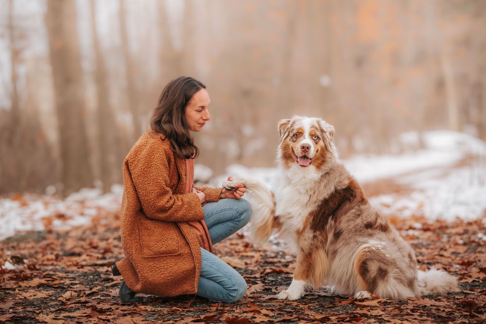 A woman sits in a snowy forest with a dog, likely a golden retriever, by her side.