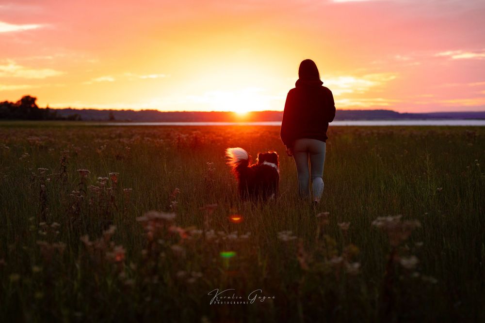 A person walks with their dog in a scenic field at sunset.