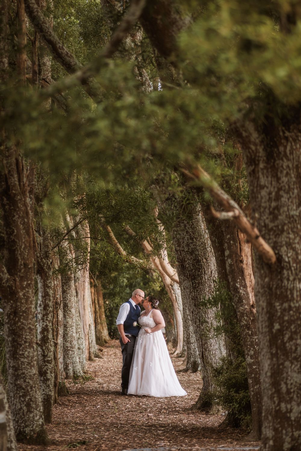 Wedding couple standing in tree-lined path creating romantic woodland scene.