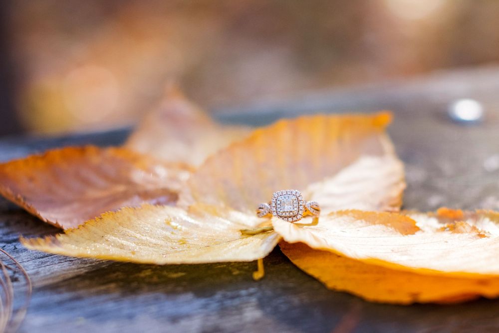 Close-up of a diamond halo engagement ring resting on golden autumn leaves outdoors.