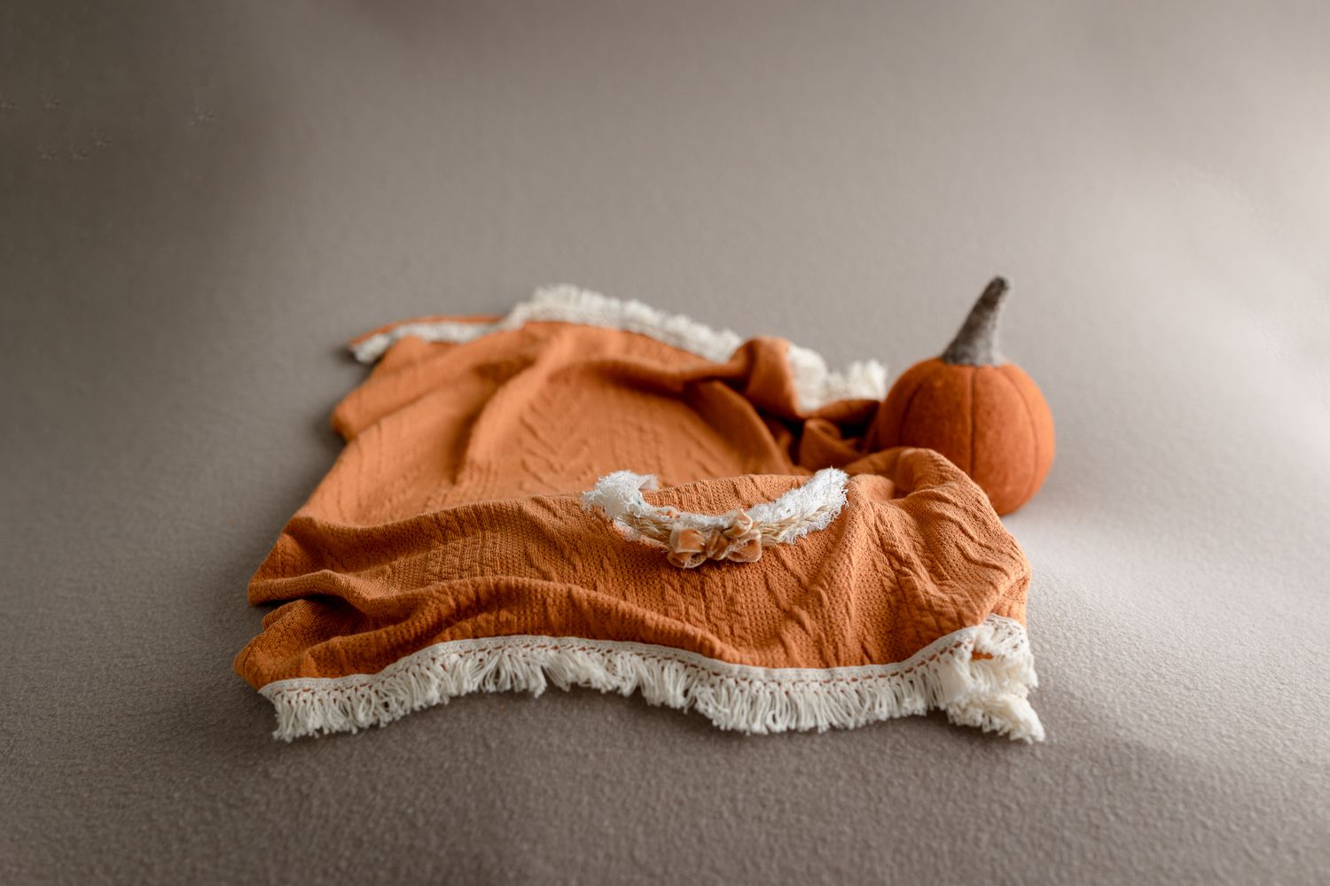 Tallahassee baby photographer