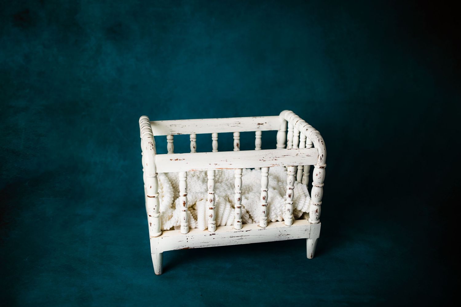 Tallahassee baby photographer