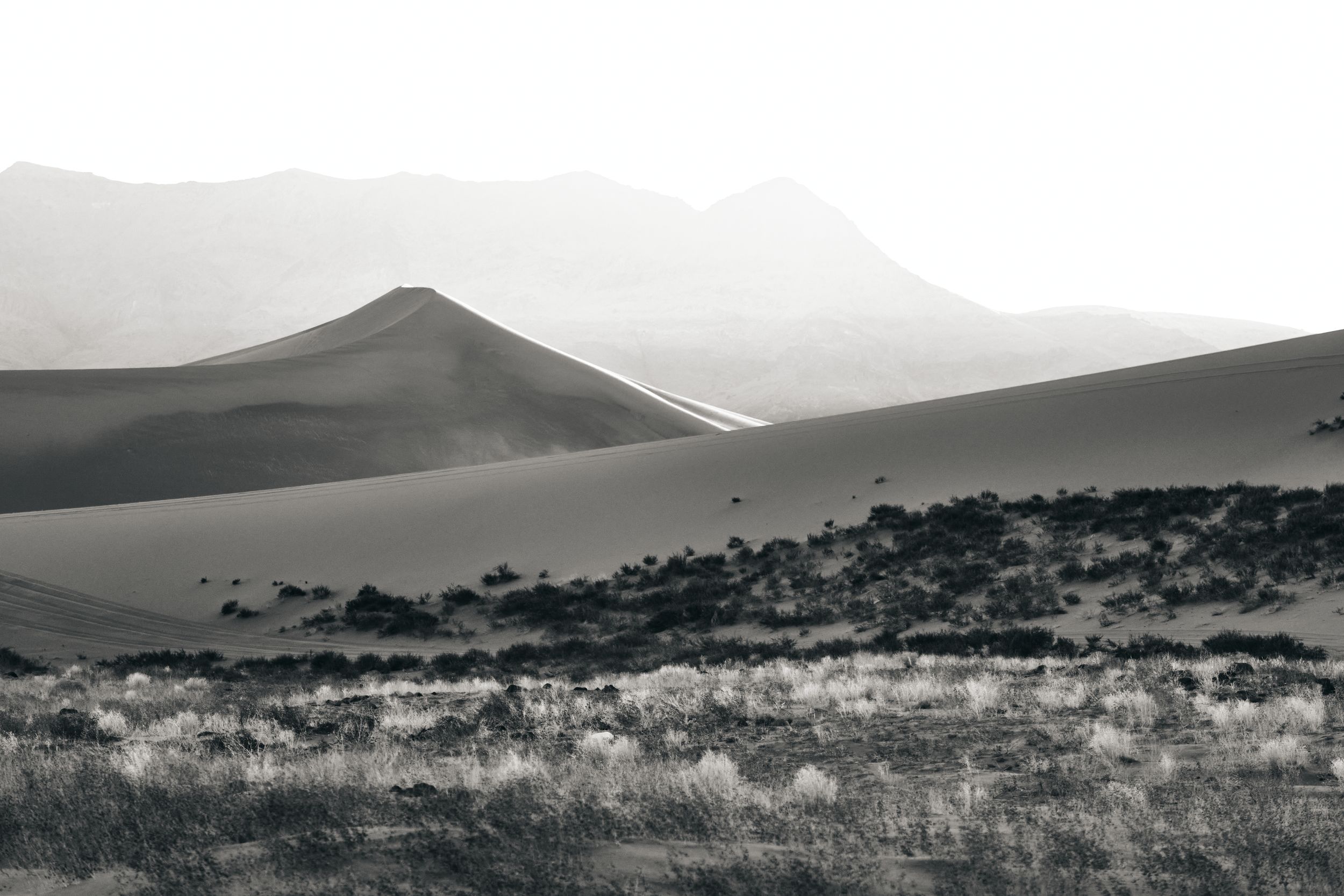Black-and-white desert landscape with sweeping sand dunes, sparse shrubs, and misty mountains in the background.