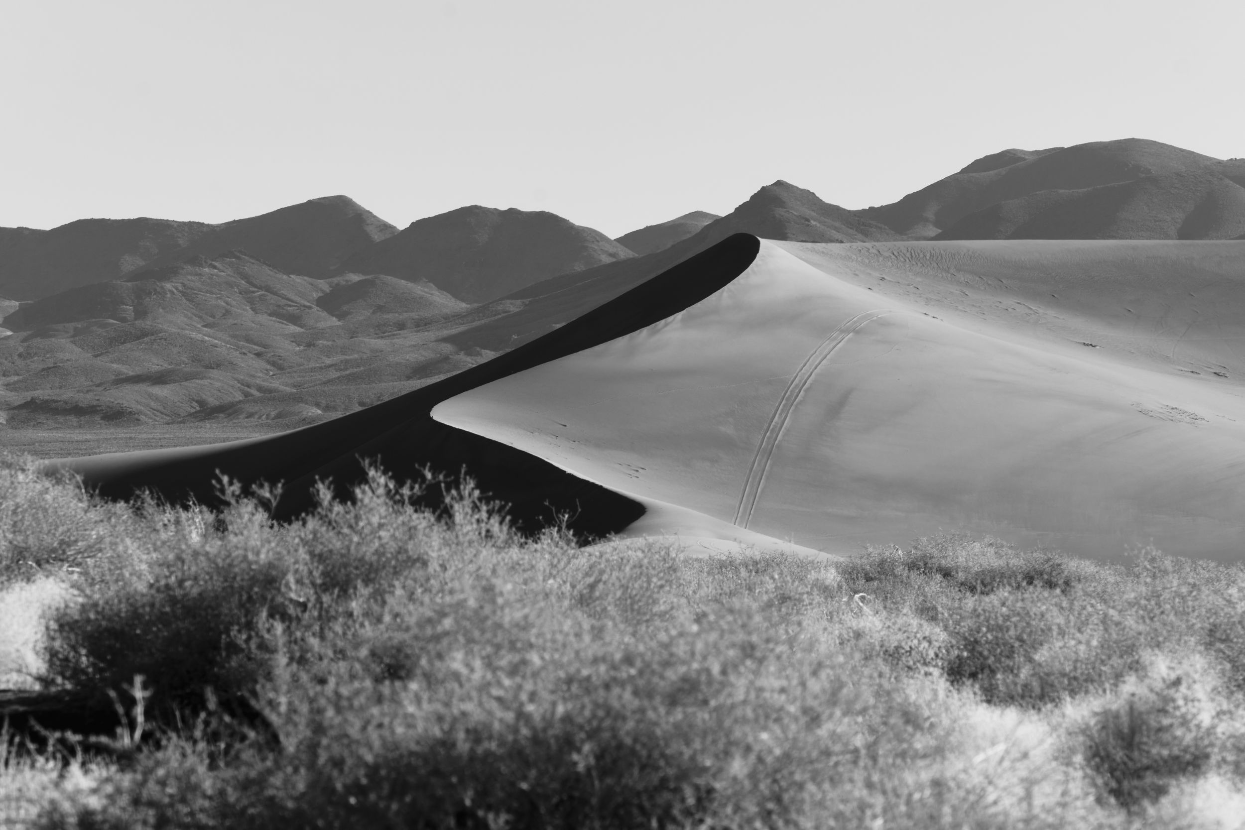 Black-and0white desert landscape with a large sand dune, sparse shrubs, and mountain range in the background.