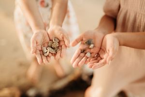 Close-up of hands holding small seashells and beach treasures.