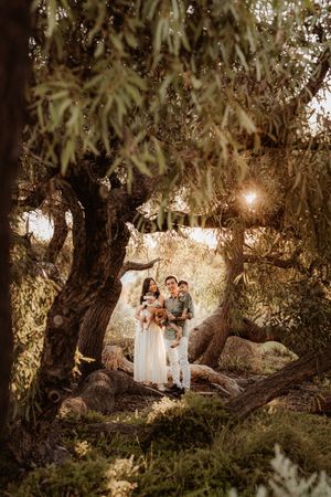 A sun-drenched family portrait captured beneath an ancient olive tree, creating a dreamy backlit scene in nature.