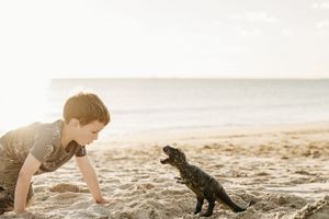 A child playing with a toy dinosaur on the beach at sunset.