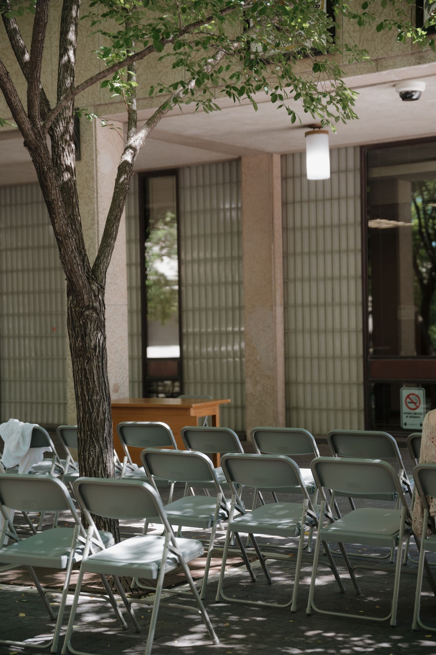 Rows of empty folding chairs set up outdoors under a tree for a wedding ceremony.