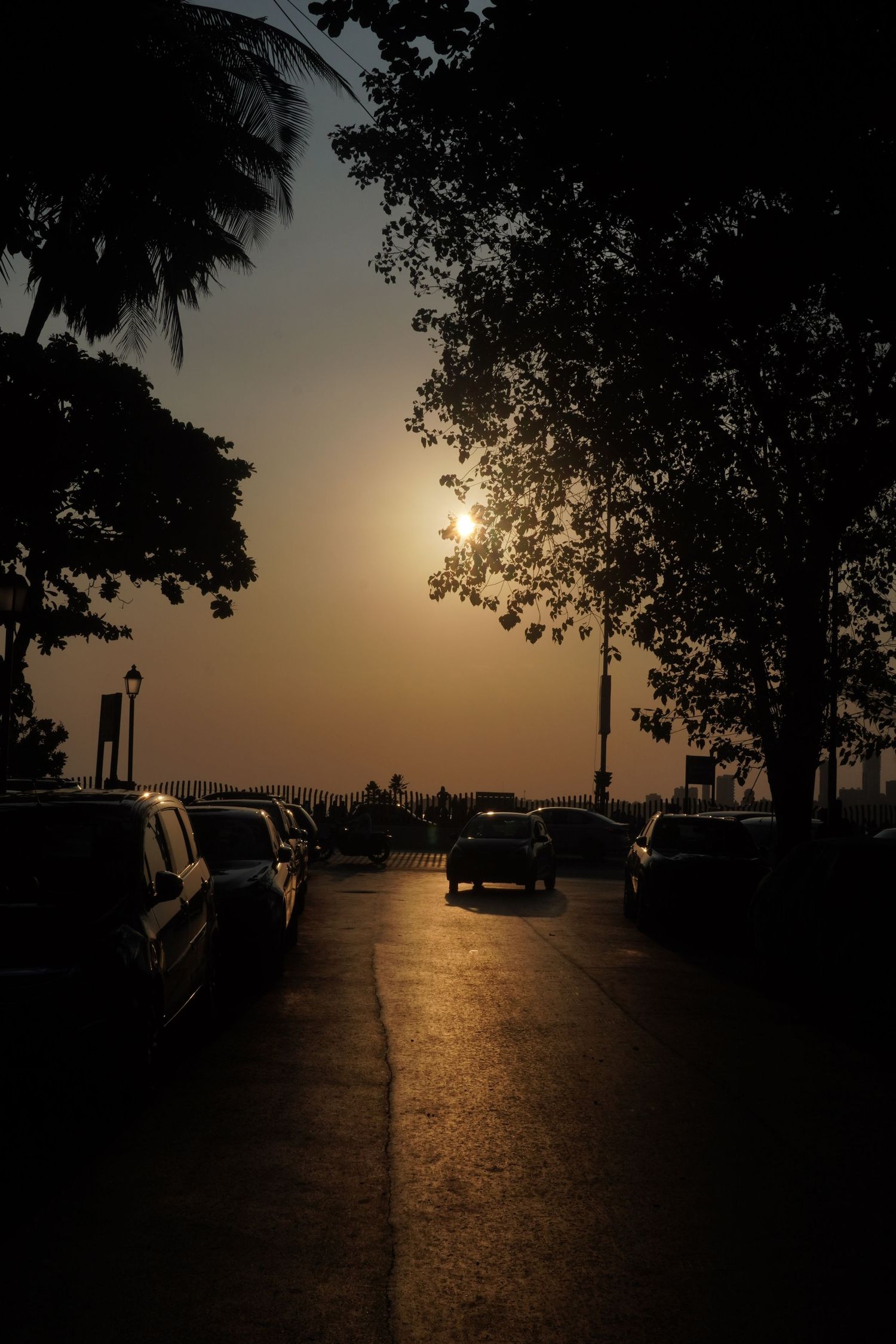 Vertical street photography of a sunset casting long shadows over a road, highlighting the interplay of light and urban geometry.