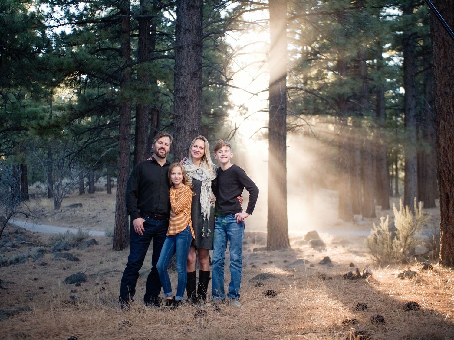 Family of four posing in a sunlit pine forest with dramatic light rays filtering through tall trees.