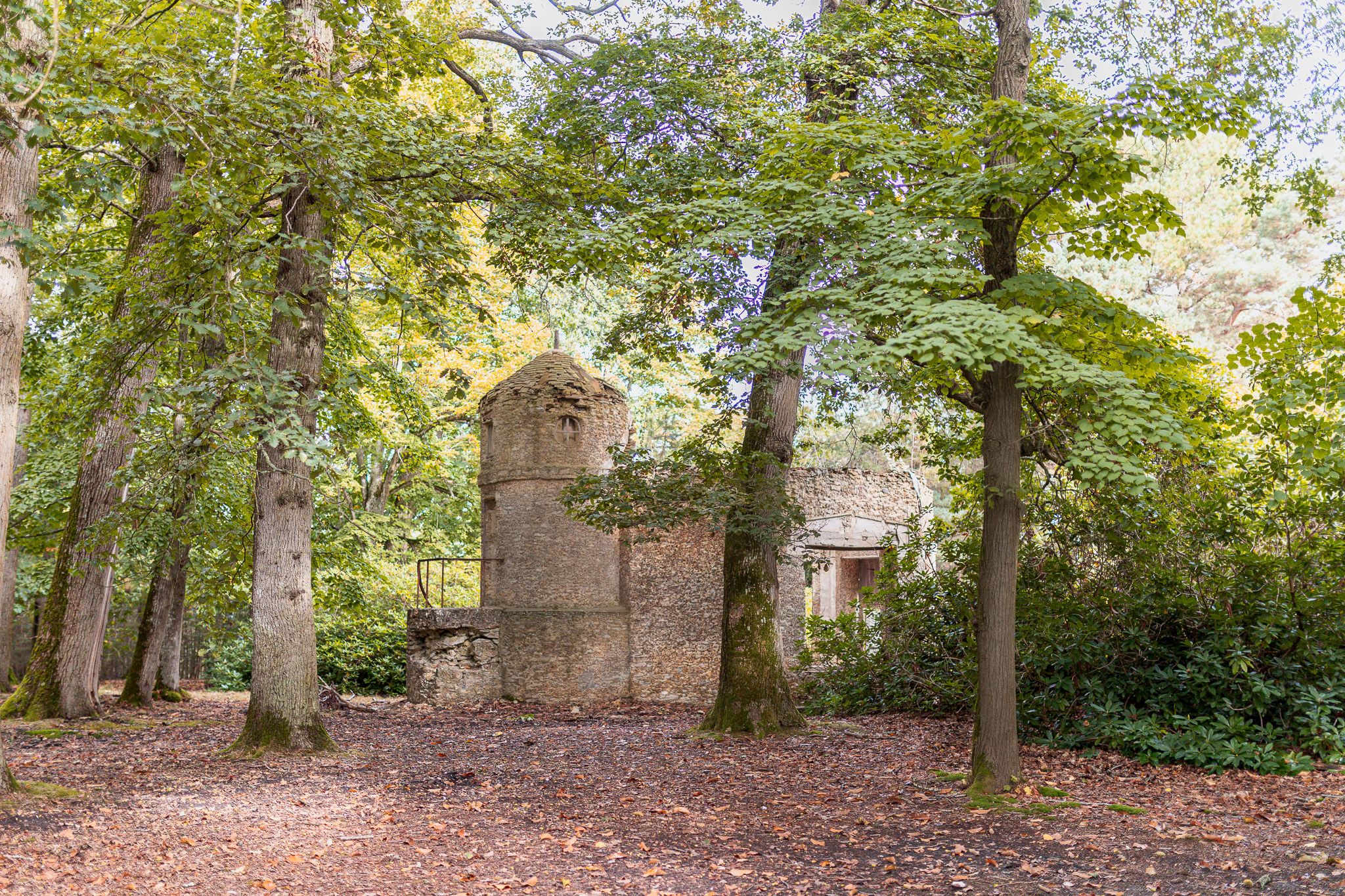 tour en ruine dans la forêt de Behoust entourée d’arbres en automne