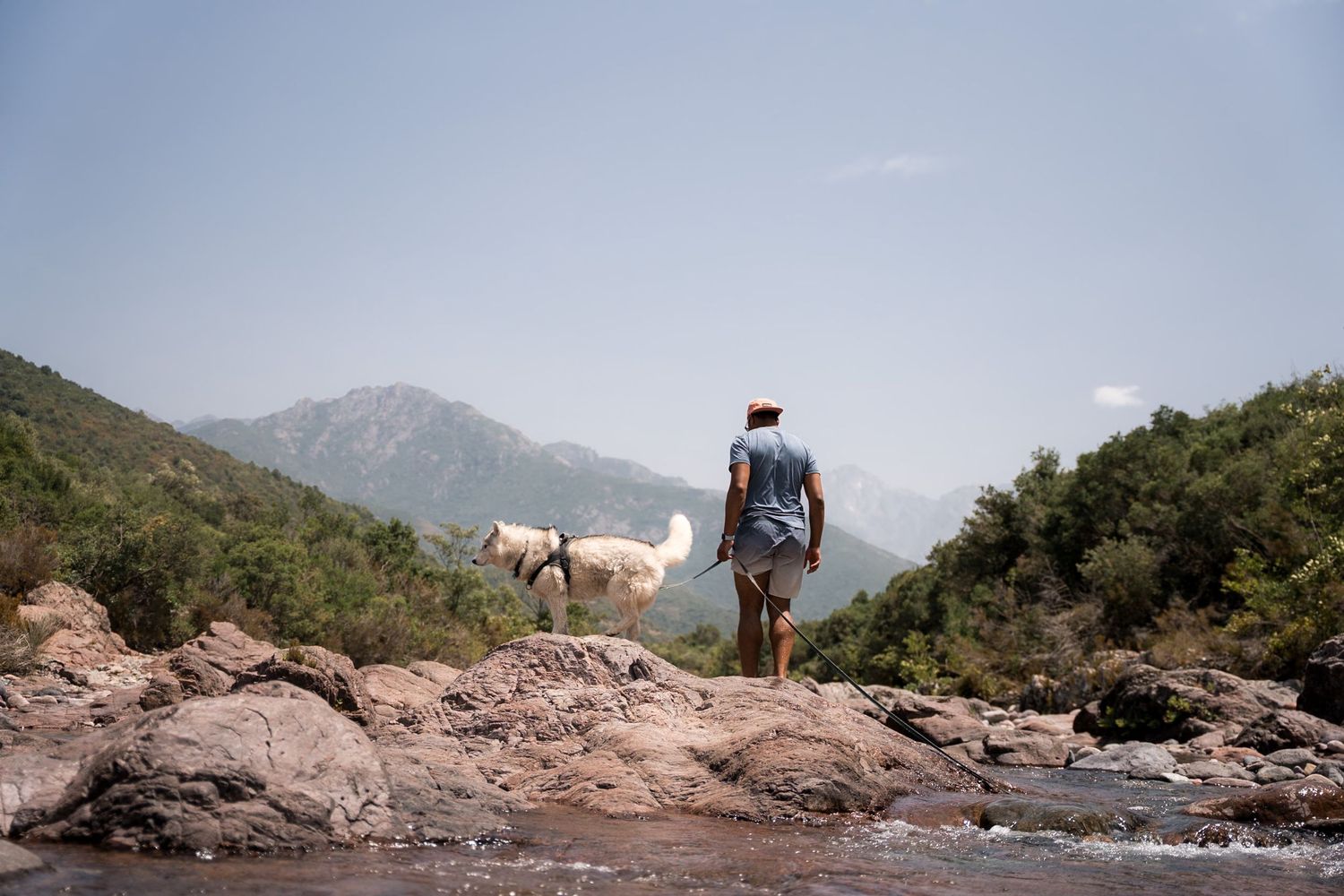 randonneur et son husky marchant dans la rivière du fango en corse