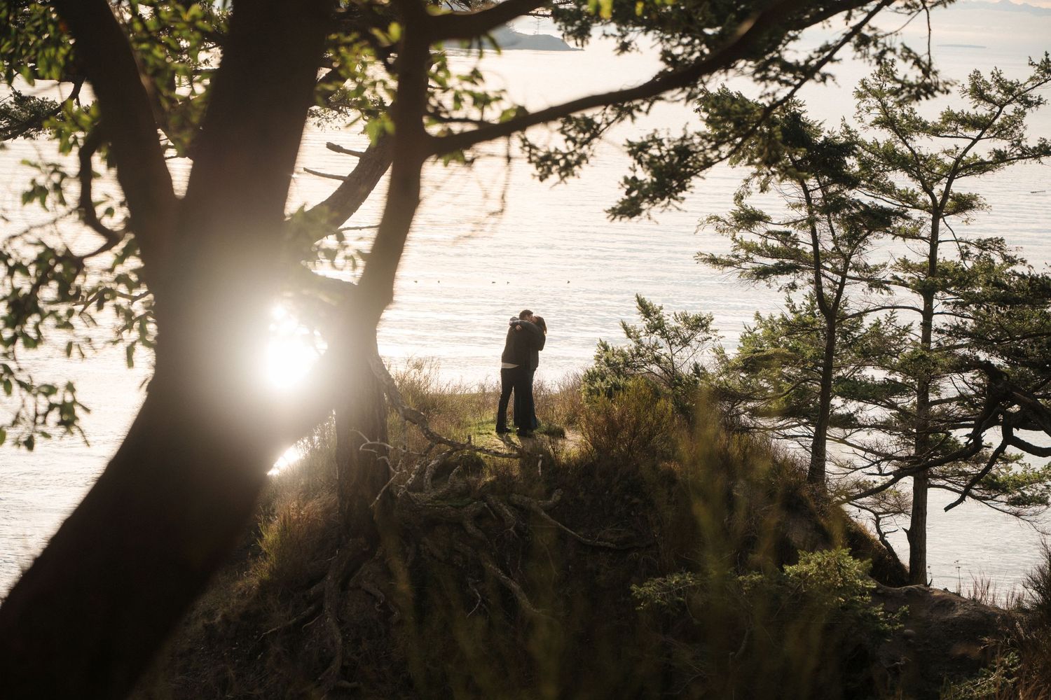 Sunlight streams through silhouetted pine trees creating a dramatic backlit effect during golden hour.