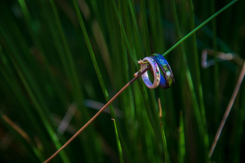 Wedding rings balanced on a blade of grass with green bokeh background.
