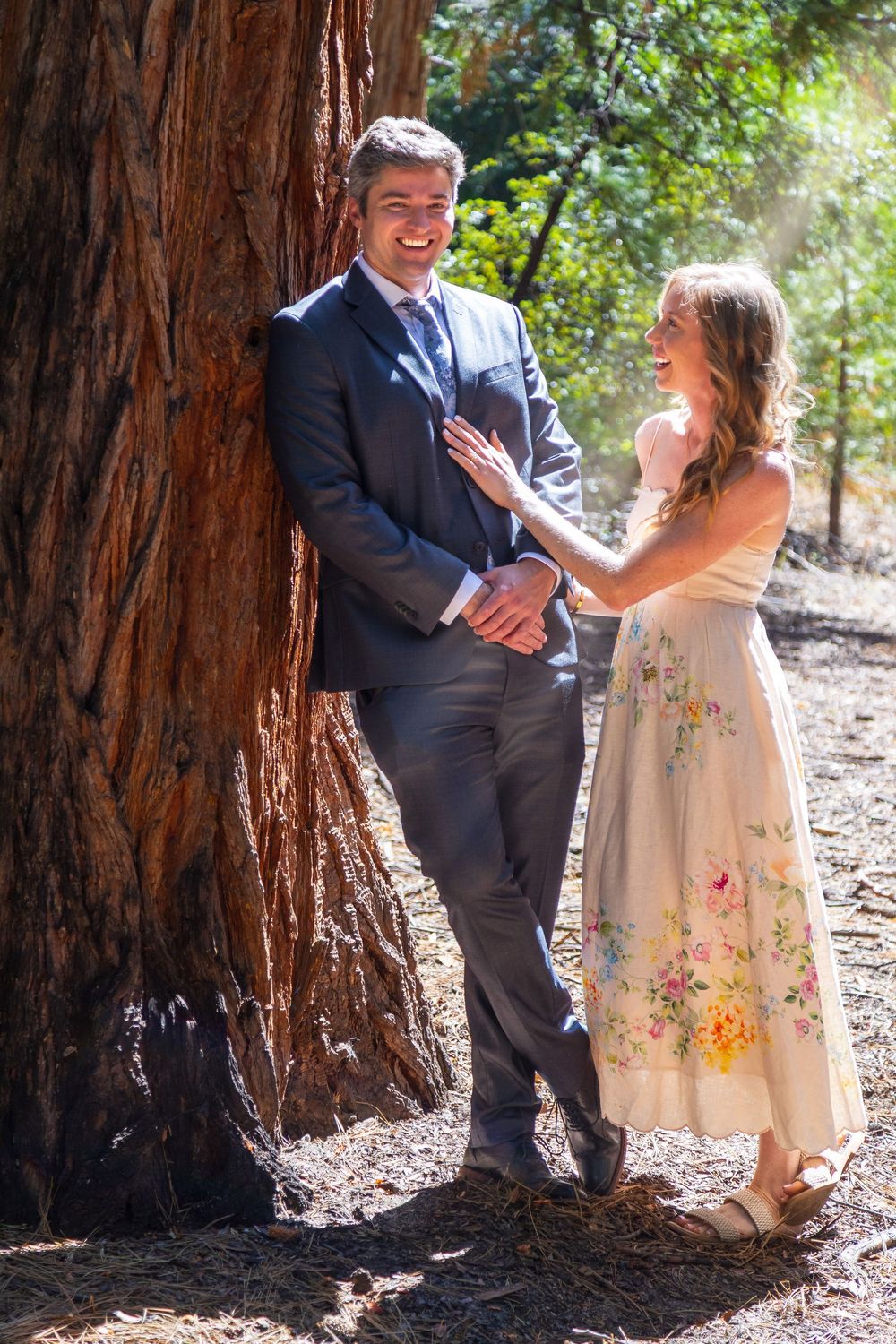 Romantic couple poses against a giant redwood tree trunk in a sunlit forest.