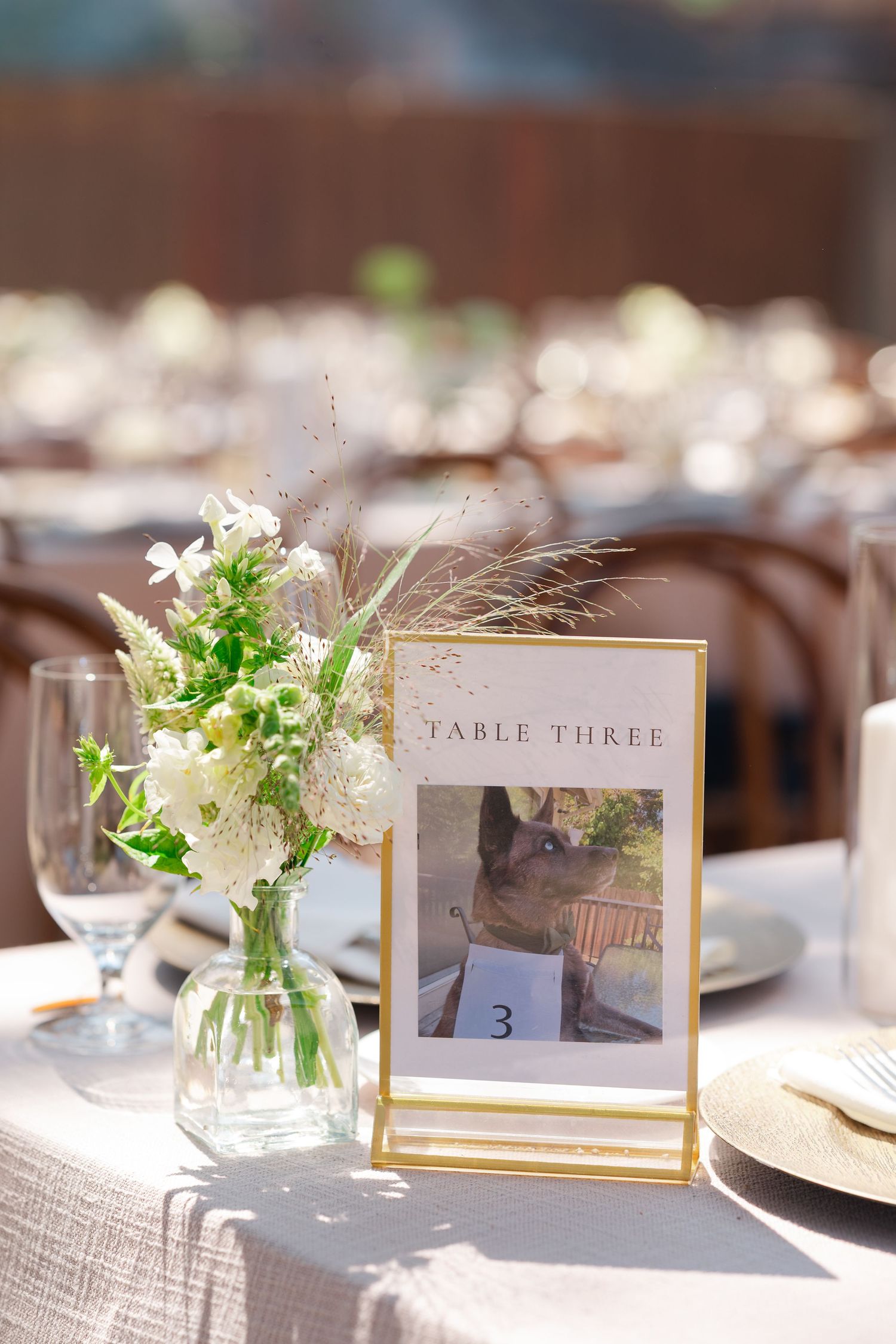 Elegant wedding reception table settings with delicate white floral centerpieces and gold-framed table number cards.