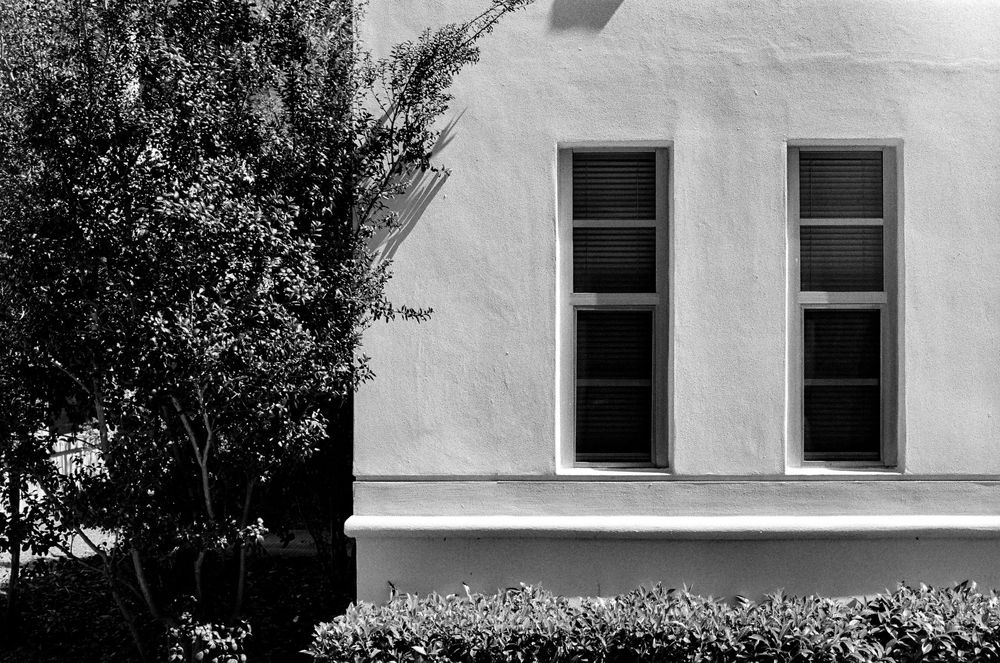 A white stucco building exterior with two rectangular windows and trees visible against the wall.