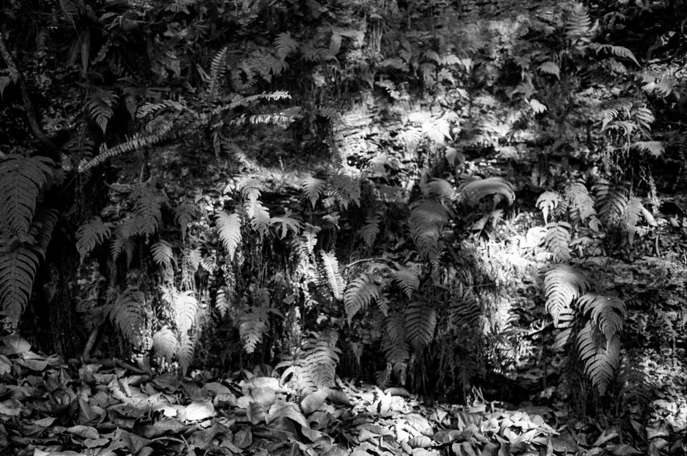 Abstract black and white artwork with intricate patterns and textures creating a dynamic monochromatic composition.