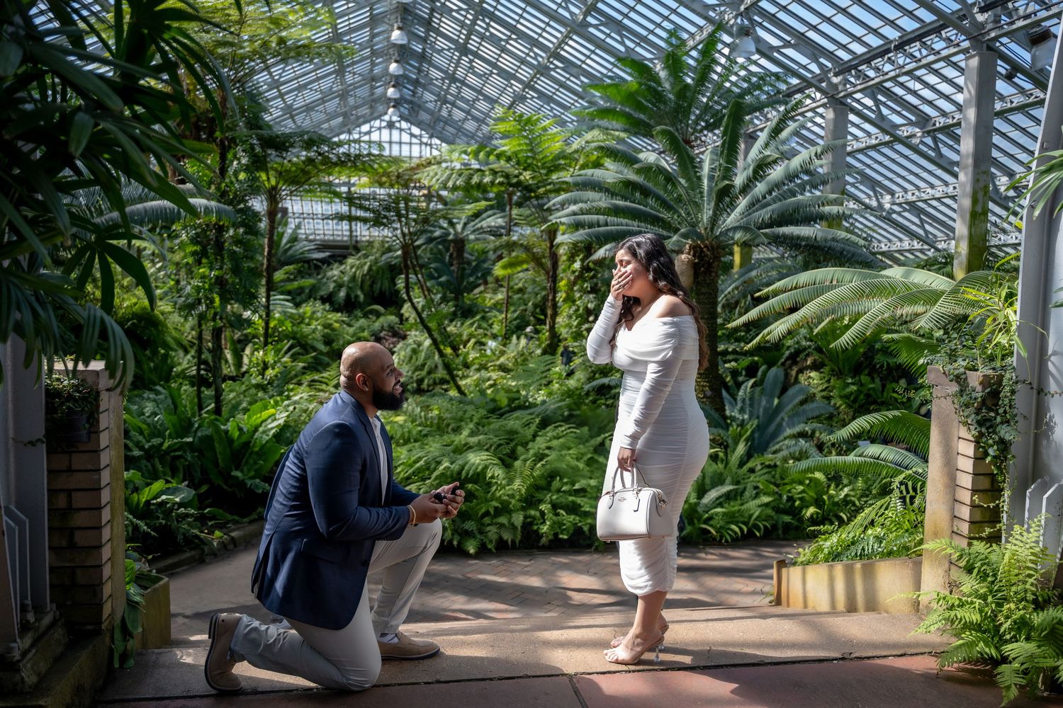 People explore a lush greenhouse walkway filled with tropical plants and ferns under a glass-paneled ceiling.
