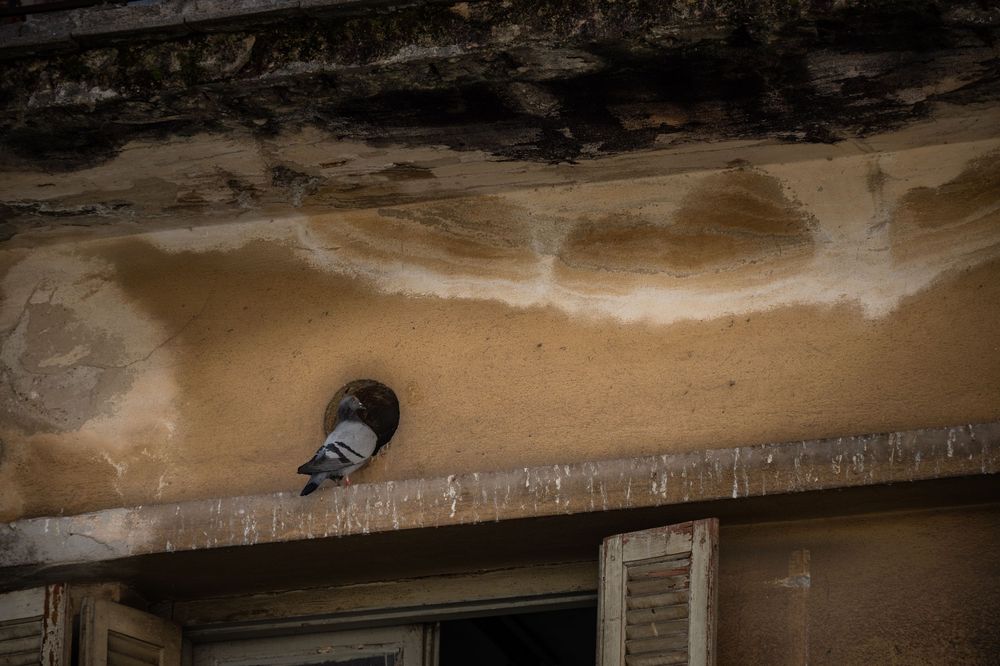 A rustic exterior wall shows weathered paint and an old light fixture mounted above.