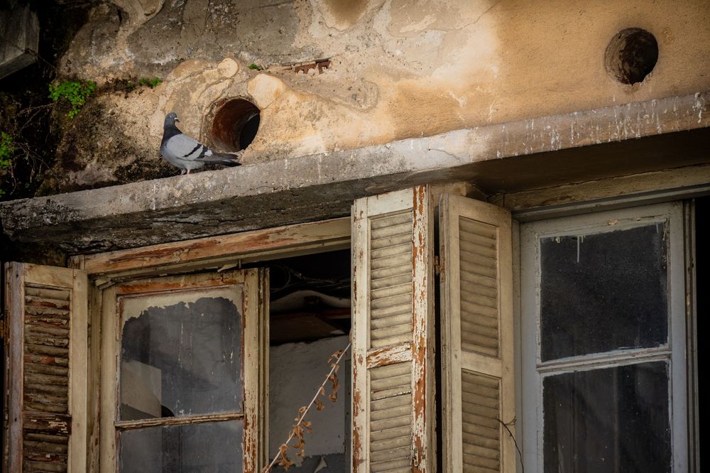 A row of dilapidated wooden shutters and windows on an old weathered building facade with peeling paint.
