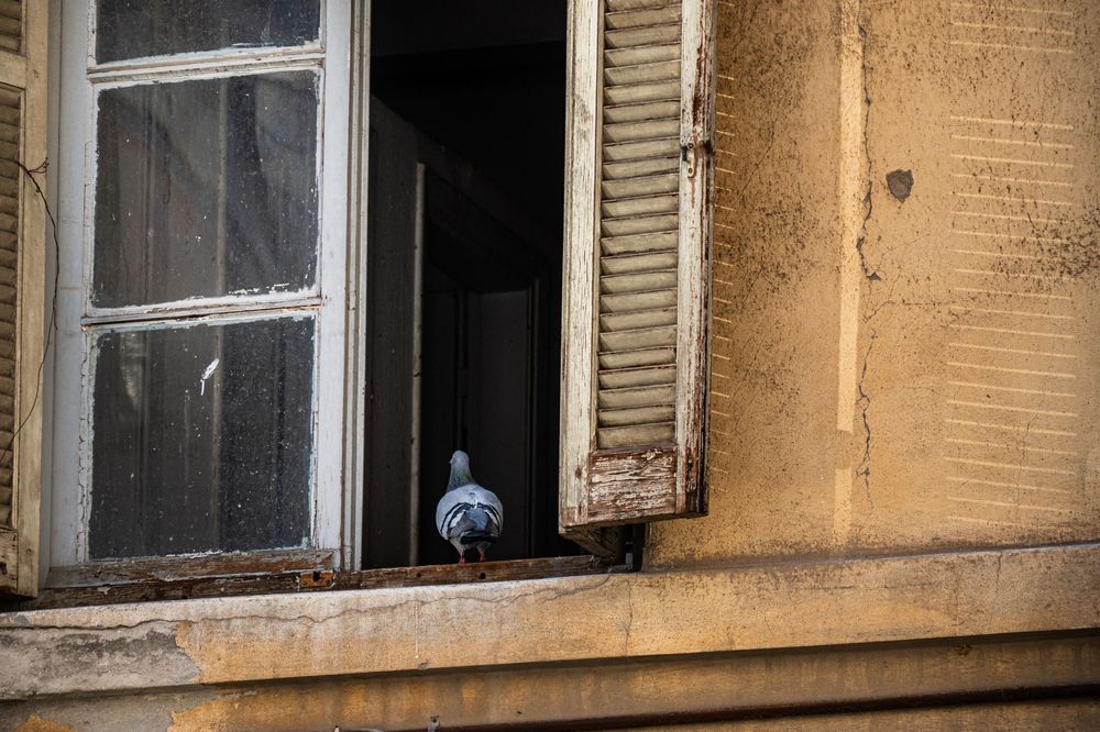 Old weathered windows with peeling paint and shutters on a beige stucco building exterior.