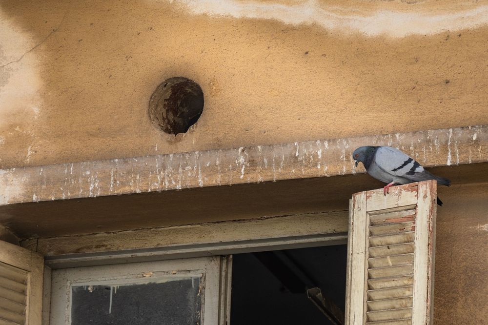 A damaged wall shows signs of deterioration with peeling paint and exposed concrete near a window frame.