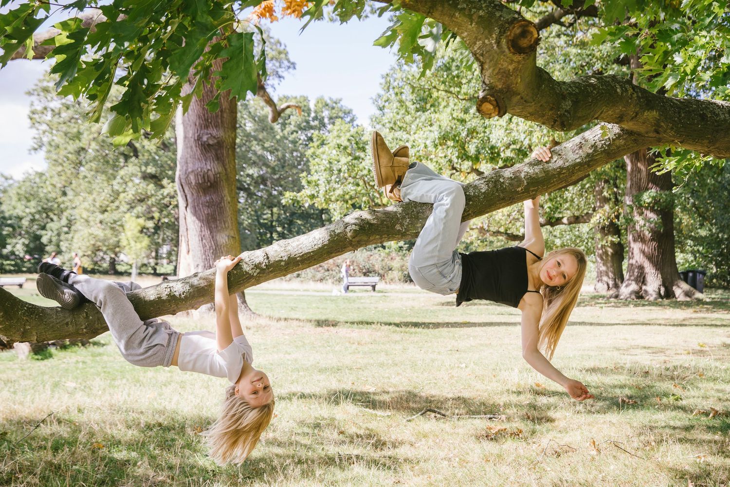 Two girls playing on a large tree branch in a sunny park, one hanging upside down.