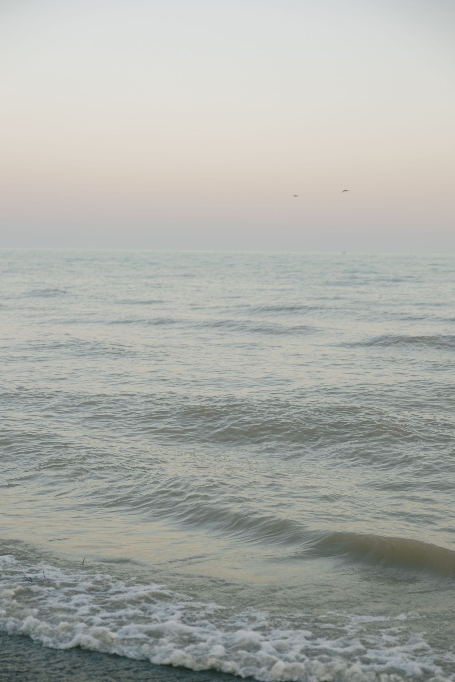 Calm ocean waves gently rolling onto a sandy beach at dusk, with two birds soaring above the serene sea.