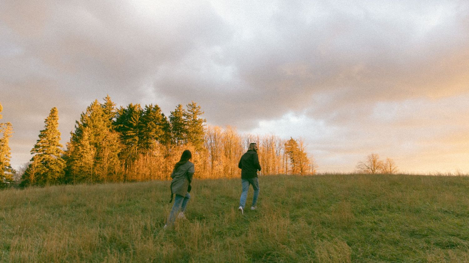 Two people walking through a golden meadow at sunset with trees and dramatic cloudy sky in background.