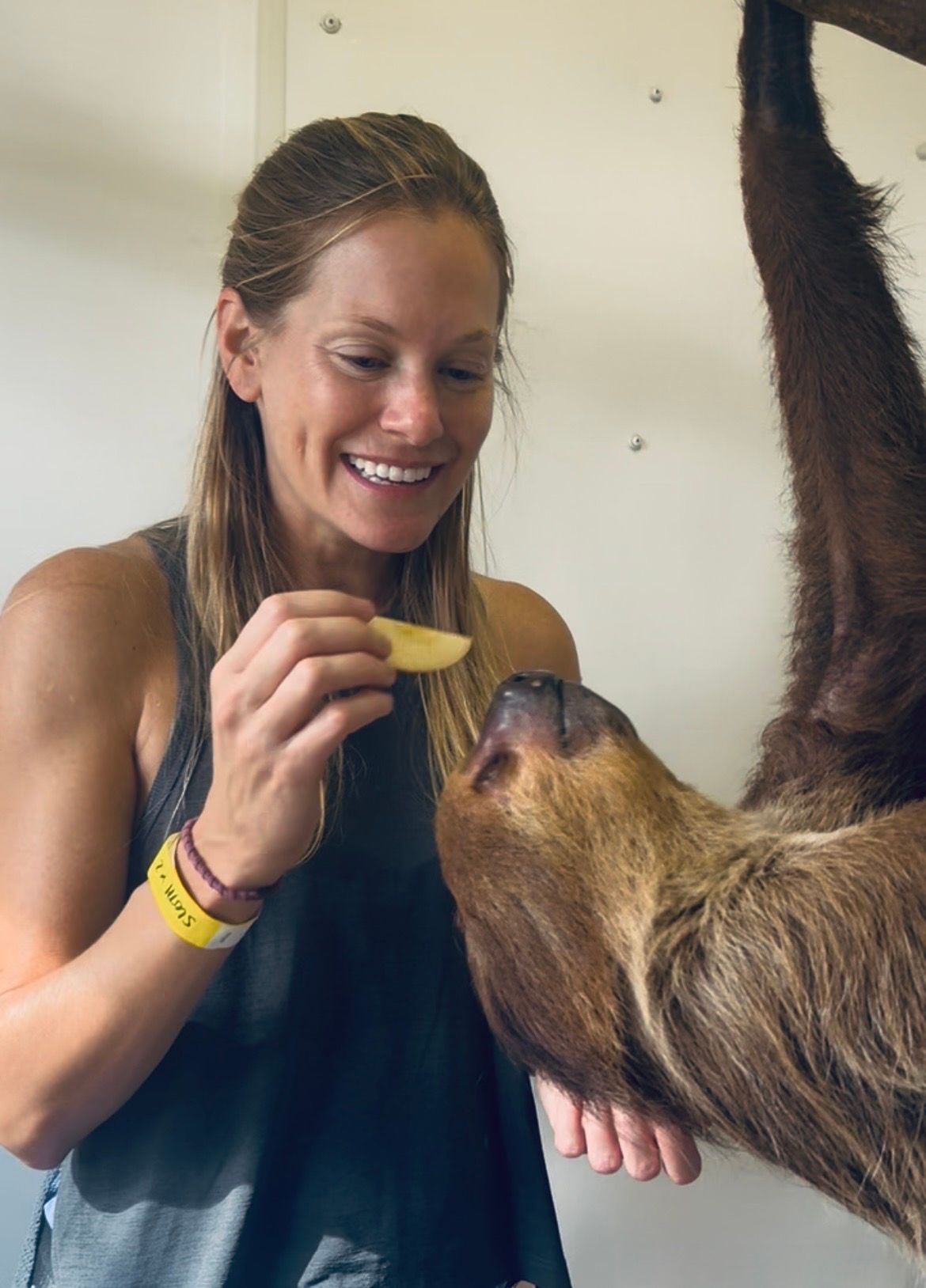 Sloth encounter at Emerald Coast Zoo near Destin Florida