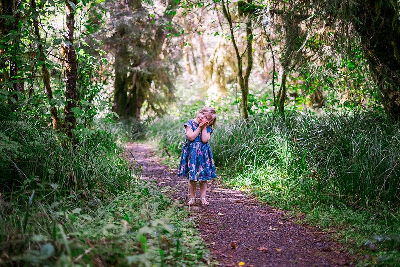 A child in a blue dress walks along a magical sunlit forest trail surrounded by lush green foliage and tall trees.