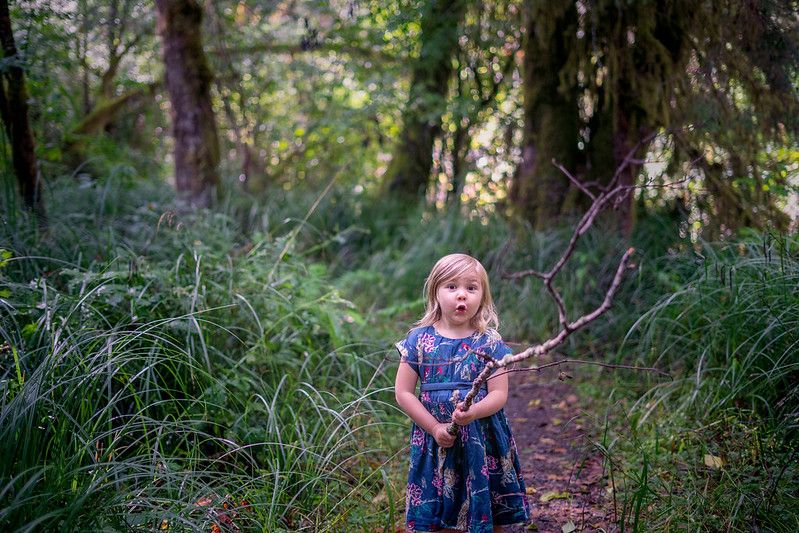 A child in a blue dress holds a branch while standing on a forest trail surrounded by lush ferns and mossy trees.