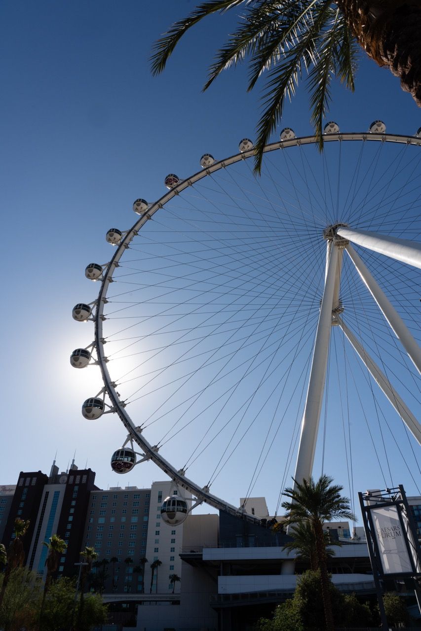 The High Roller Ferris wheel in Las Vegas rises against a clear blue sky, framed by palm trees.