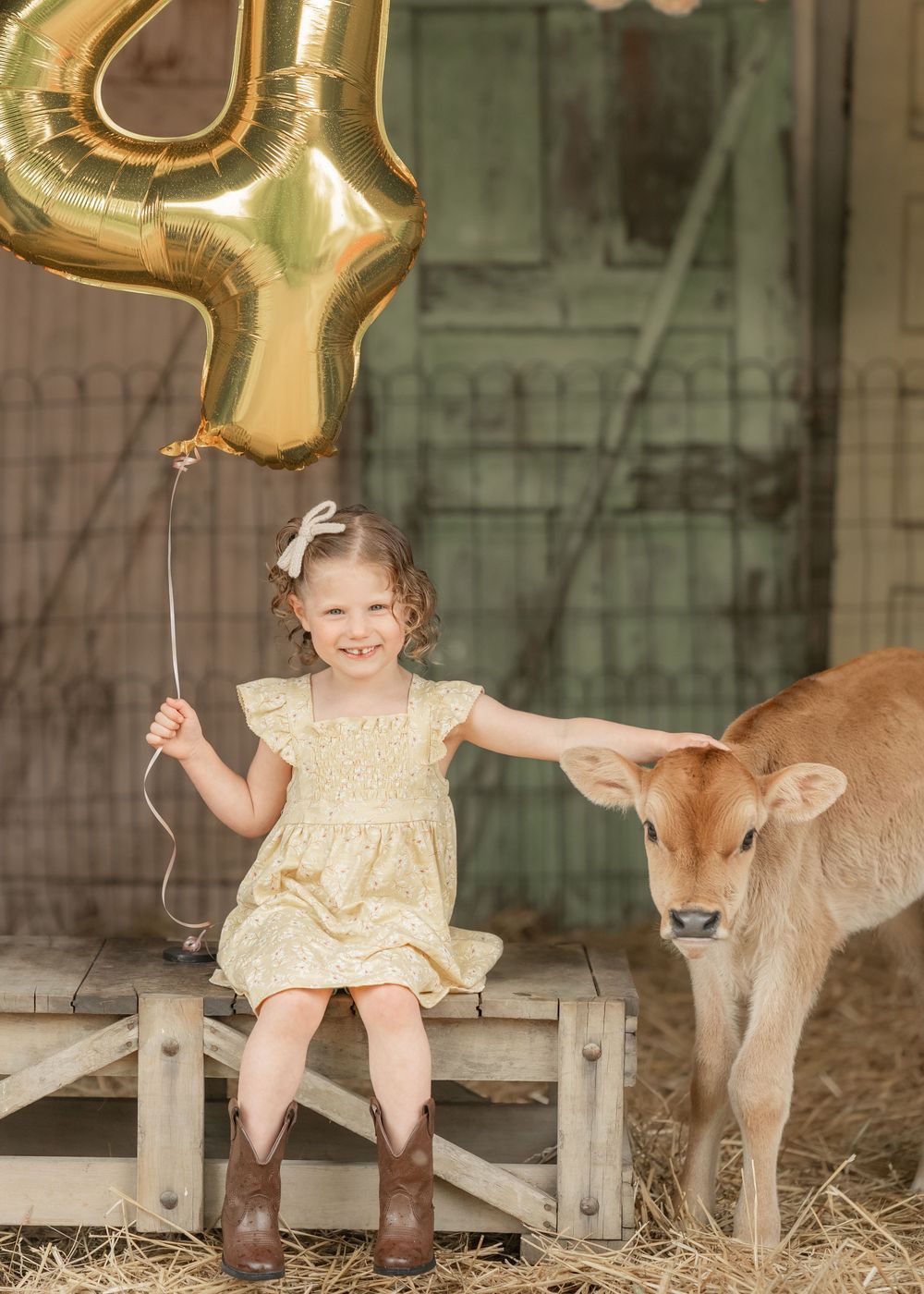 A smiling girl in a yellow dress and cowboy boots holds a gold number 4 balloon while petting a calf in a barn.