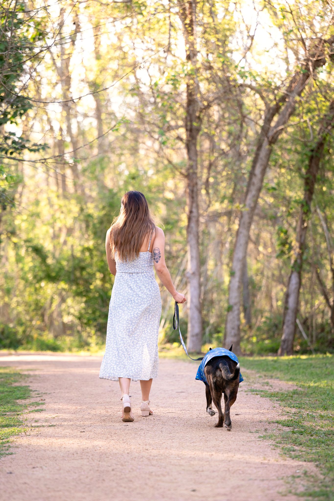 Dog owner and dog exploring a session location together in Houston, TX.