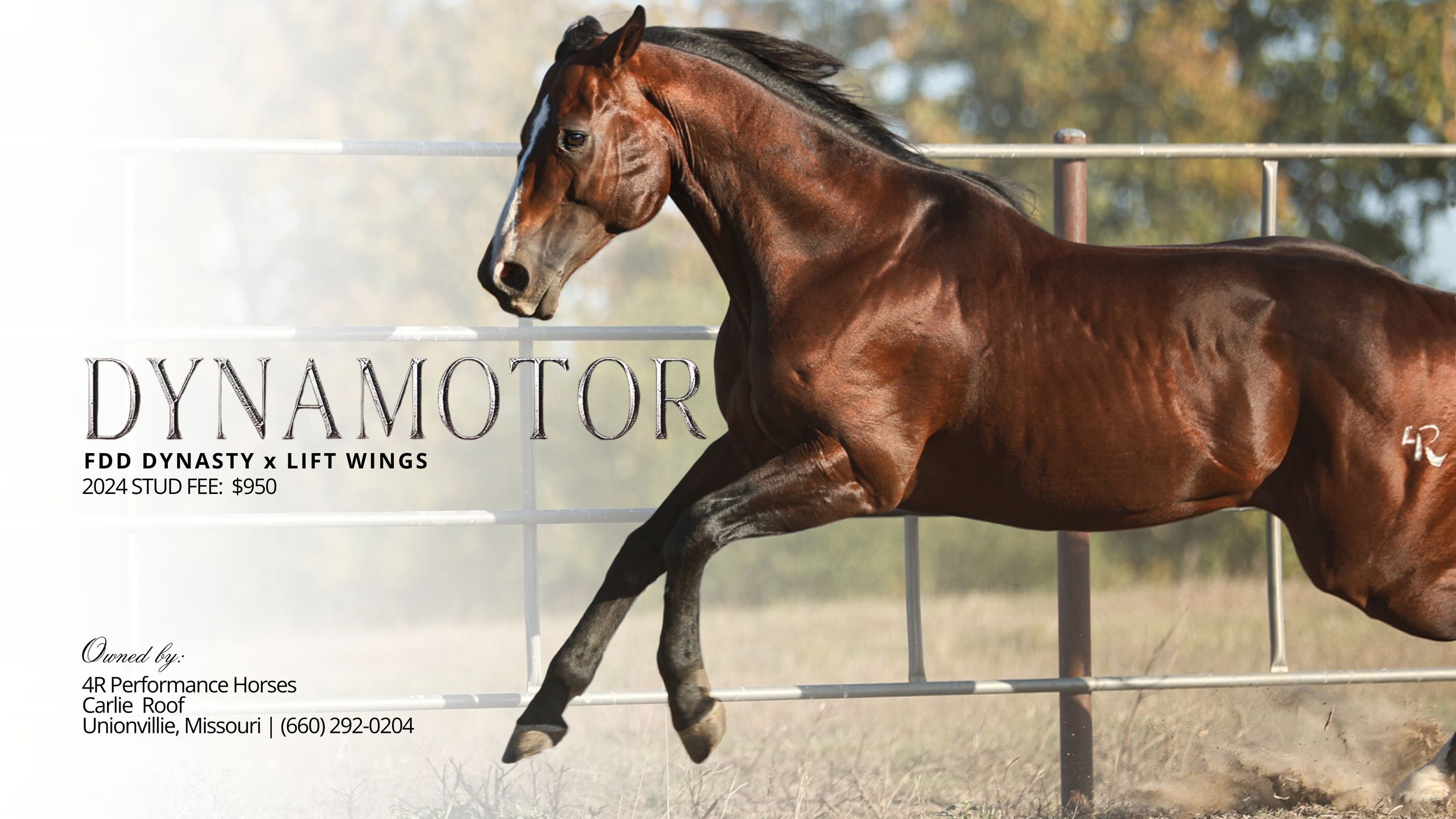 DYNAMOTOR