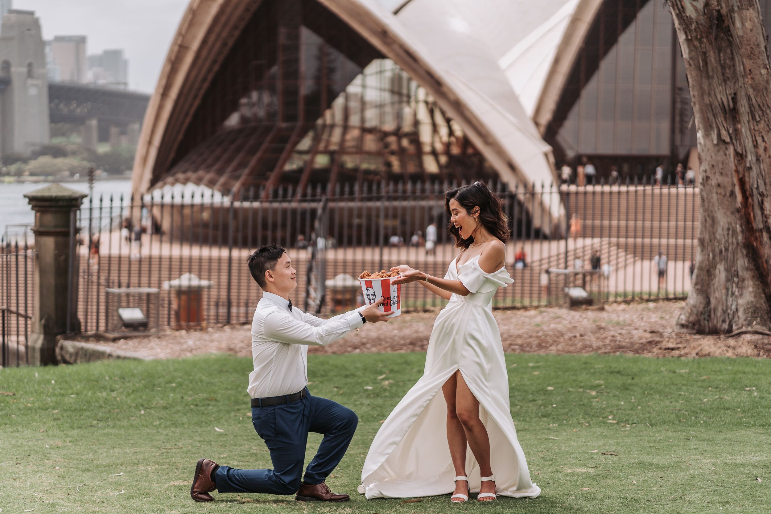 A romantic proposal scene with the Sydney Opera House in the background on a grassy lawn.