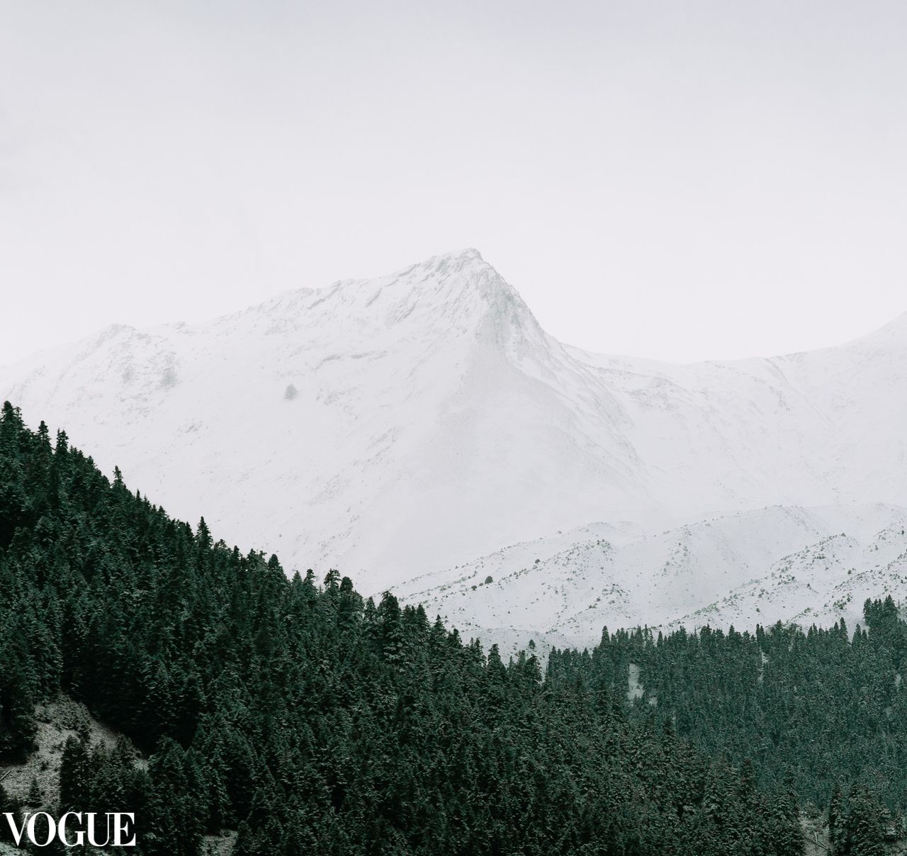 Snow-covered mountain peak rising above a dense forest under overcast light.