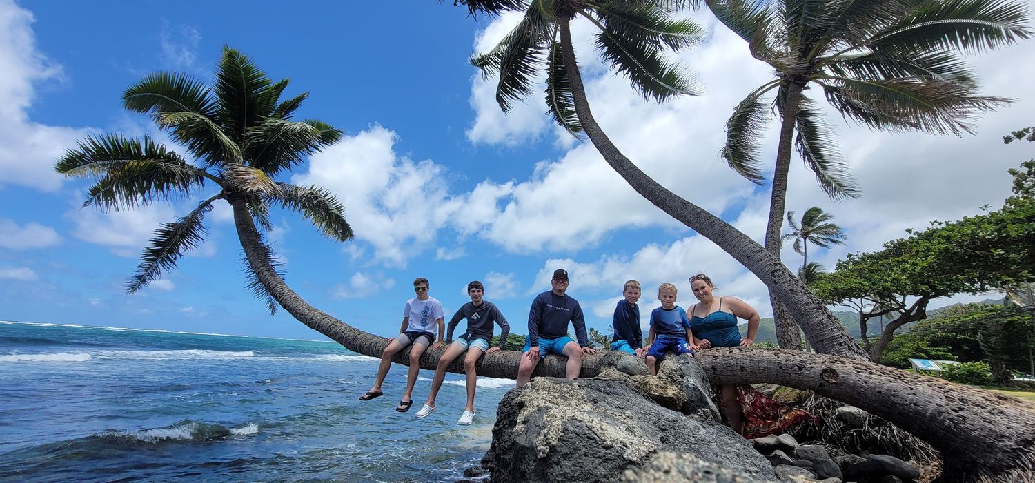 Palm trees sway against blue sky with ocean waves visible in tropical beach setting.