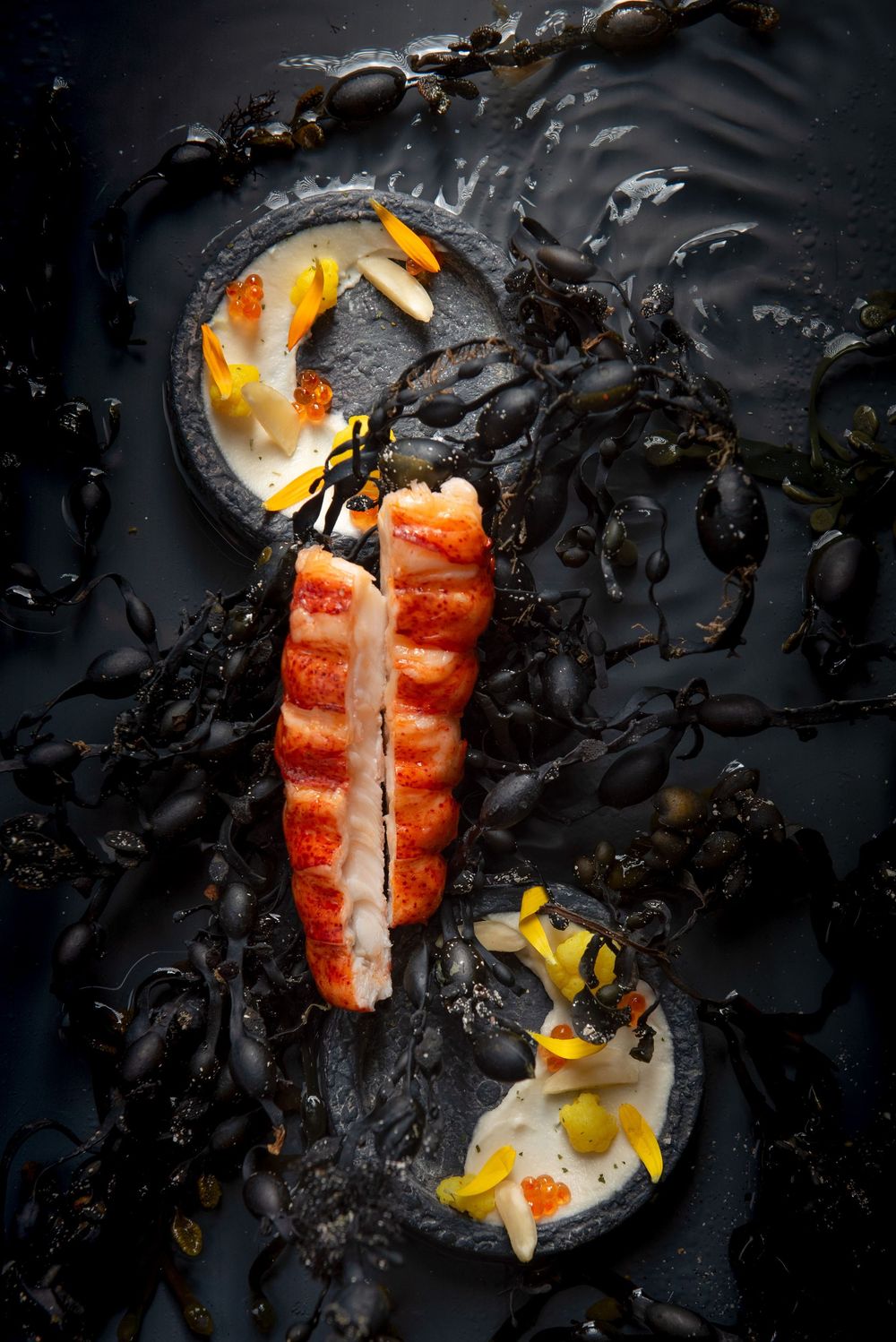 Homard déstructuré Lenôtre - Mélanie Rousselle, photographe traiteur Paris
