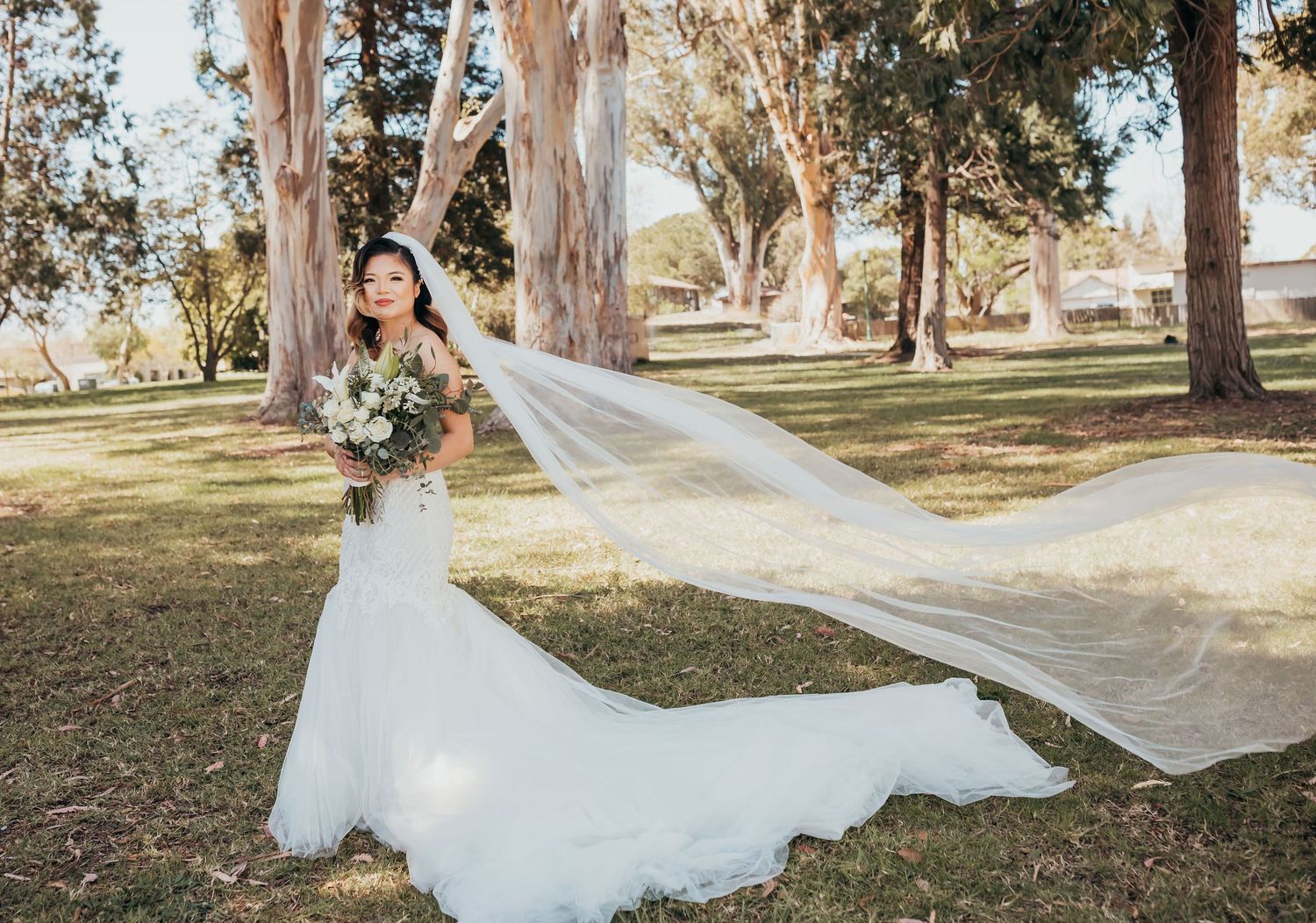 A bride in a flowing white lace gown with a long veil poses with her bouquet among tall eucalyptus trees in a park.