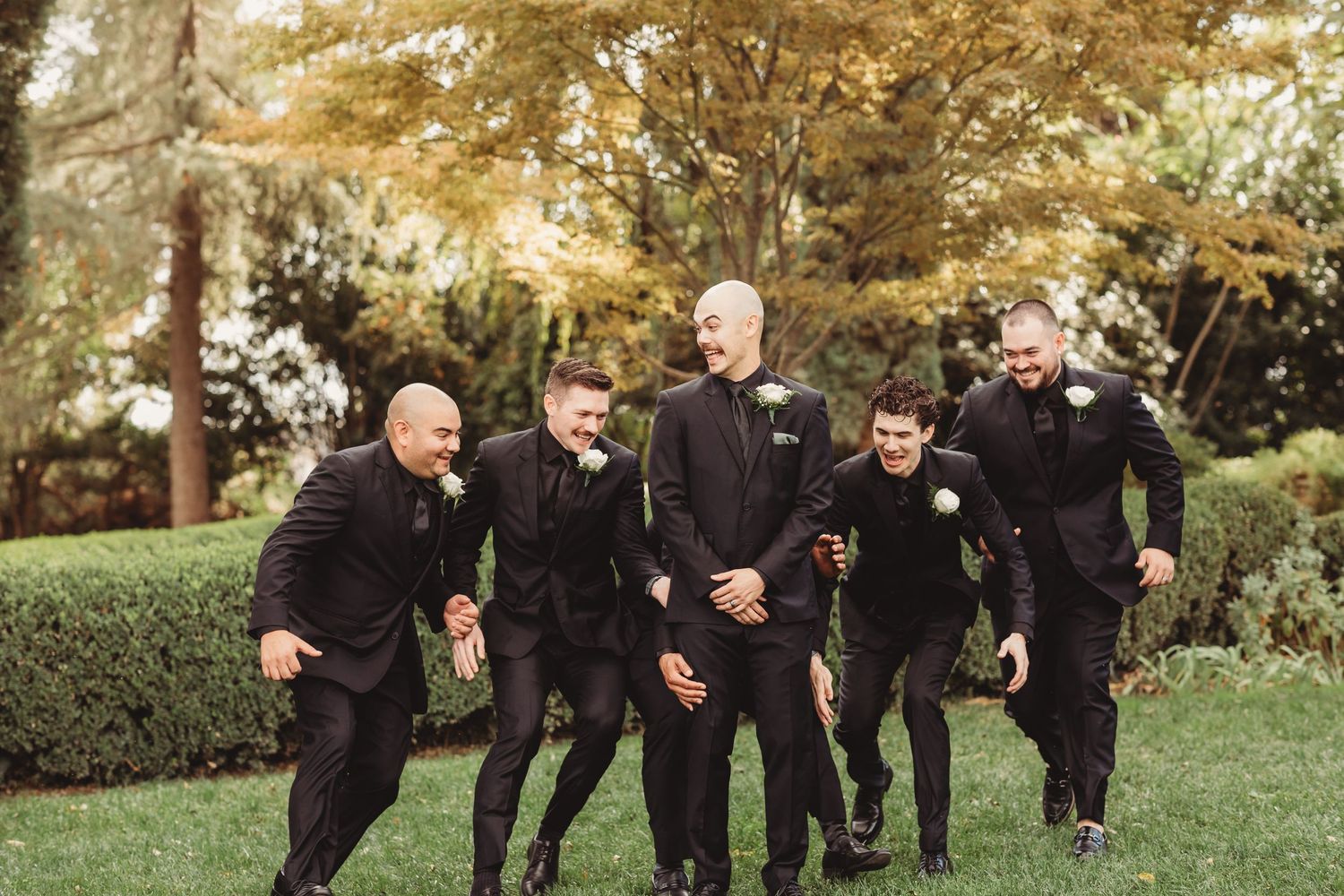 A group of groomsmen in black attire laugh and walk together across a sunlit garden lawn.