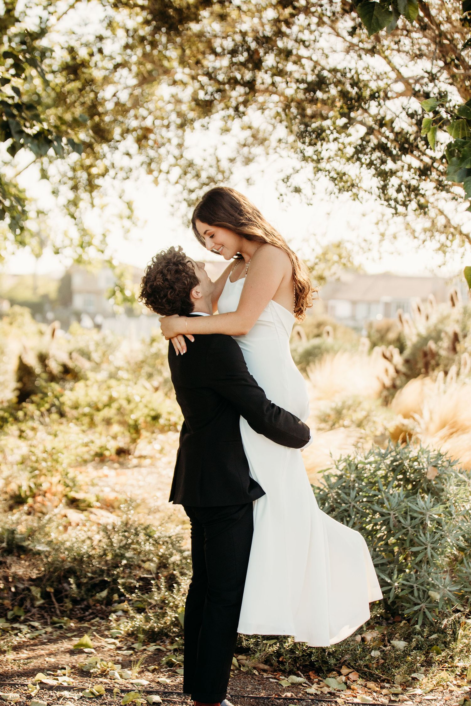 A sequence of romantic wedding poses captured in golden sunlight among natural foliage and desert landscape.