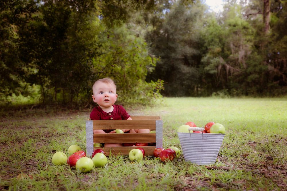 Northwest Arkansas Baby Photographer