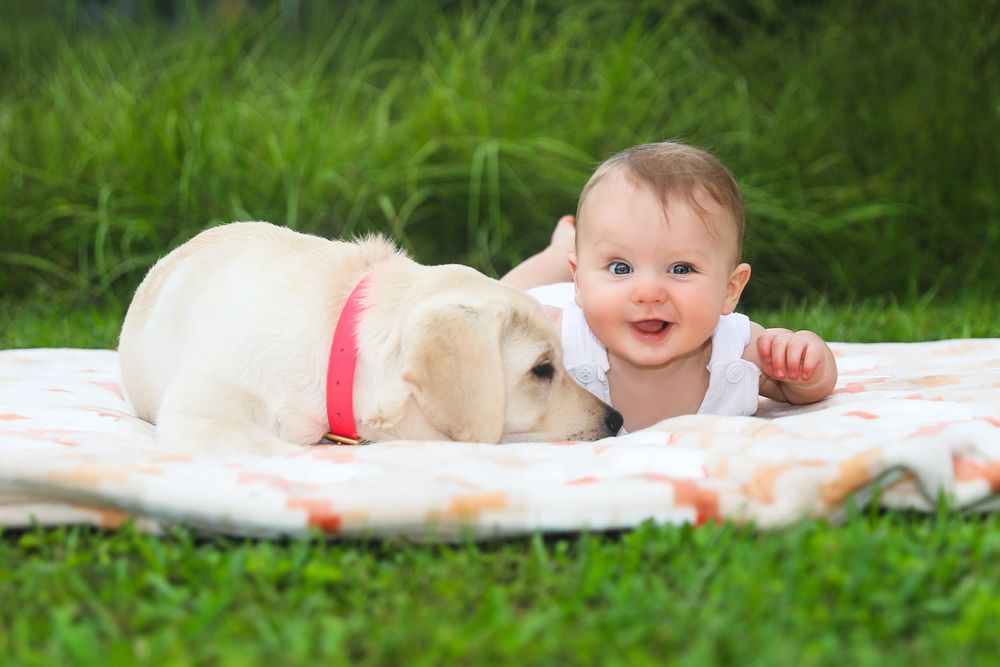 Northwest Arkansas Baby Photographer