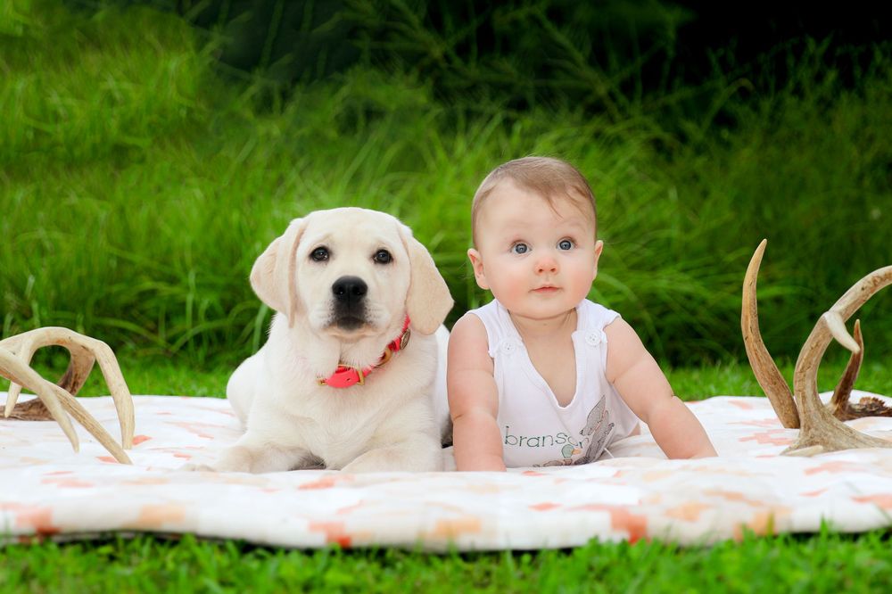 Northwest Arkansas Baby Photographer