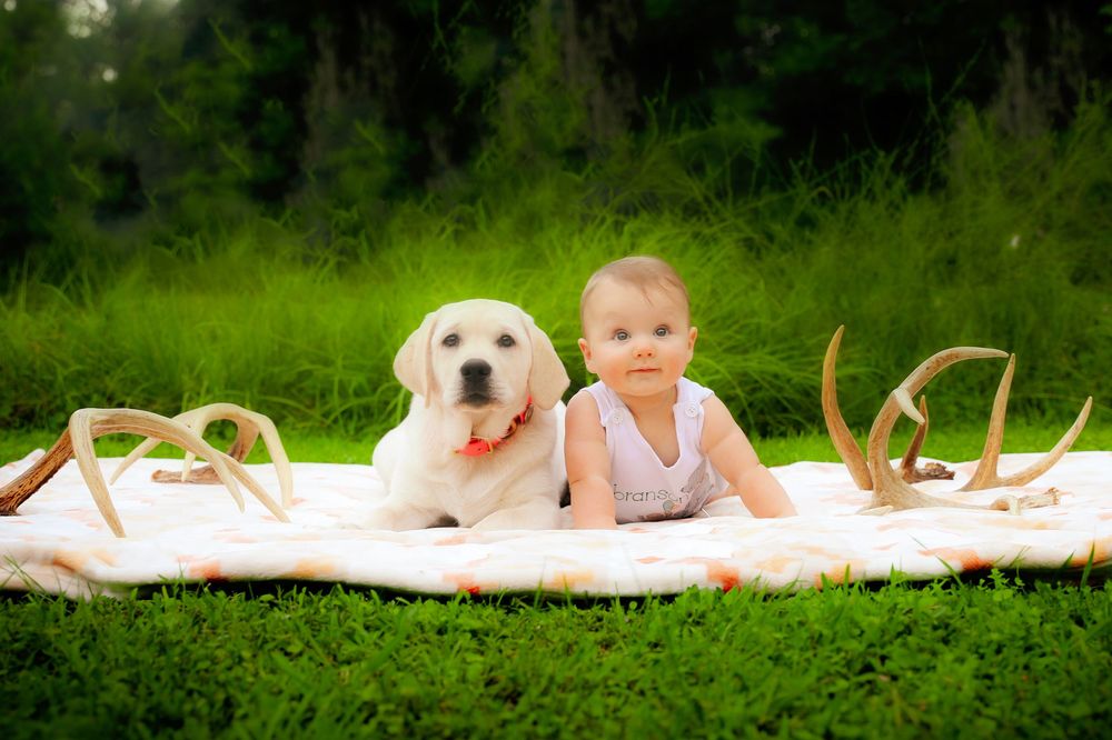 Northwest Arkansas Baby Photographer