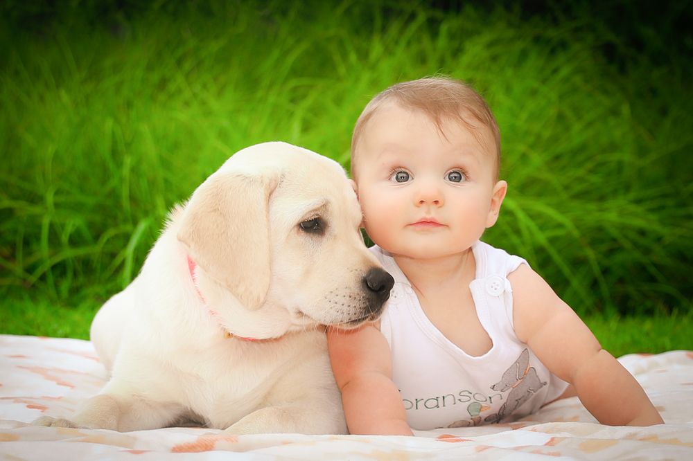 Northwest Arkansas Baby Photographer
