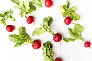 Bright red radishes with green leafy tops scattered on a white marble background, highlighting their freshness and crispness.